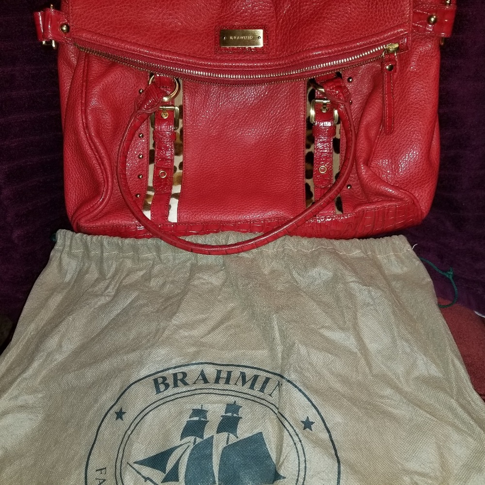 Brahmin Large Authentic